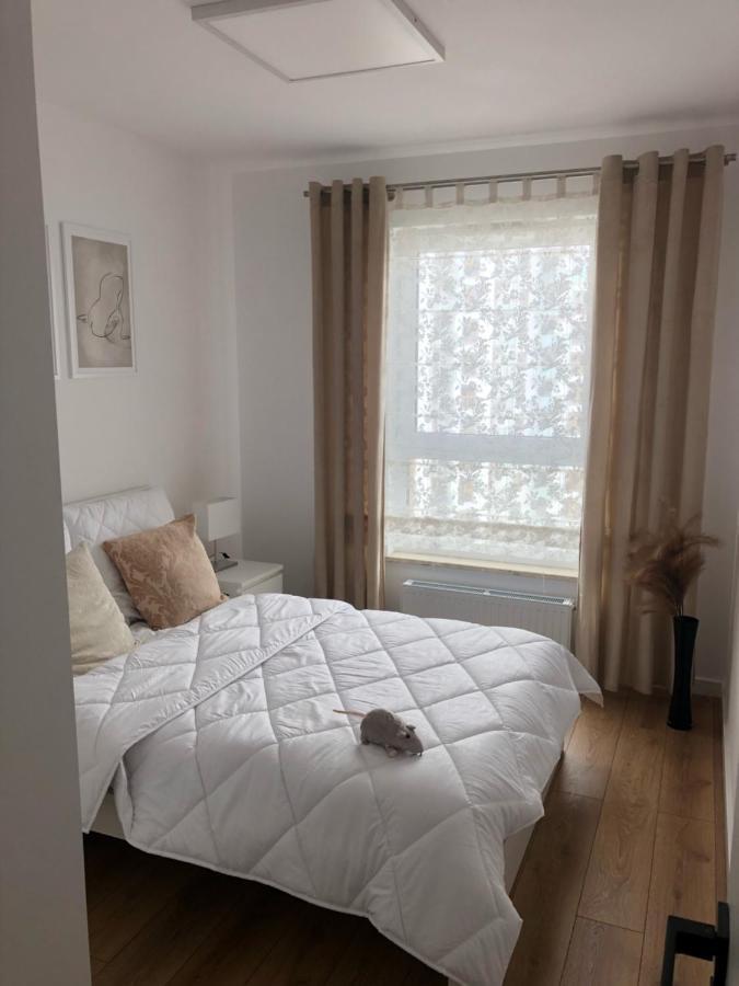 Apartment Letnica View